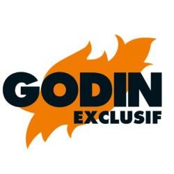 Godin Poêles Cheminée Guisson