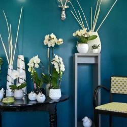 L' Atelier Des Fleurs
