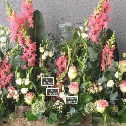 Cheveu D'ange Fleurs