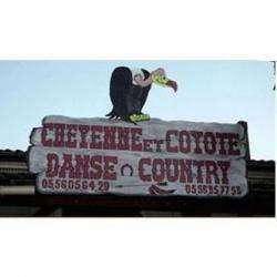 Cheyenne Et Coyote