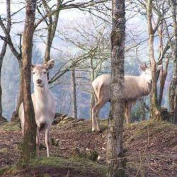 Chez Dame Nature