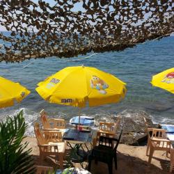 Chez Robert - Les Pieds Dans L'eau
