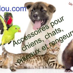 Chezanilou, Animalerie