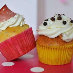 Chic'cakes