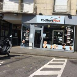 Coiffure Plus