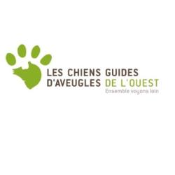 Chien Guide Aveugle
