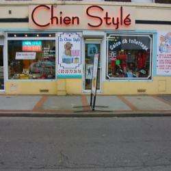 Chien Stylé