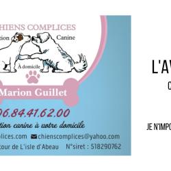 Chiens Complices
