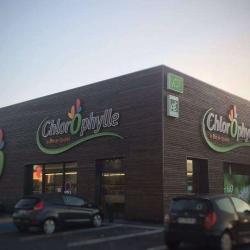 Chlorophylle