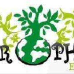 Chlorophylle