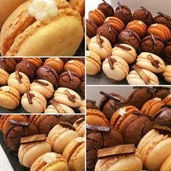 Hotot Chocolaterie Du Drakkar