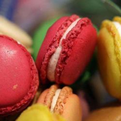 Chocolaterie Royale