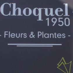 Choquel