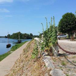 Chouzé Sur Loire