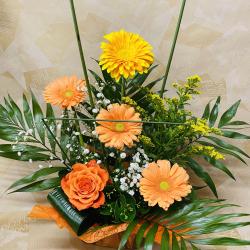 Christo Fleurs