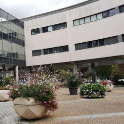 Chu De Limoges (autres Services)
