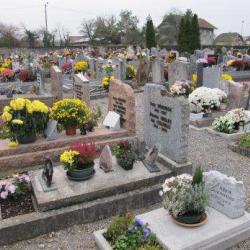 Cimetière Central De Mulhouse