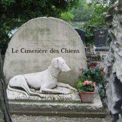 Cimetière Des Animaux