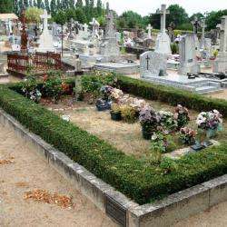 Cimetière Du Cellier
