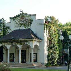 Ciné/théâtre A. Dussolier