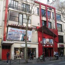 Le Cinéma Des Cinéastes