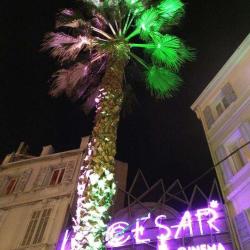 Cinéma Le César