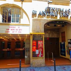 Cinéma Saint André Des Arts