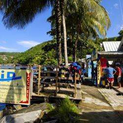 Club De Plongée Cip Guadeloupe