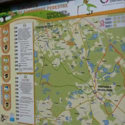 Circuit Des étangs Fontaines En Sologne