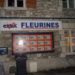 Cisa Fleurines