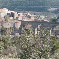 Cité De Minerve