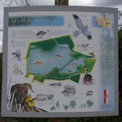 Cité Des Oiseaux