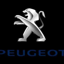 Peugeot Slica Lyon Centre