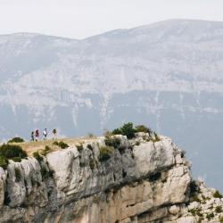 Clairière & Canopée