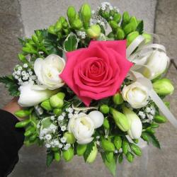 Claudine Fleurs