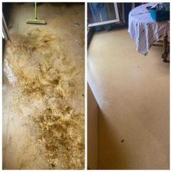 Clean Aline - Nettoyage & Jardinage
