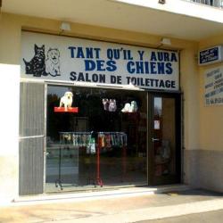 Tant Qu'il Y Aura Des Chiens