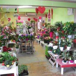 Clémentine Fleurs