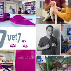 Clinique Vétérinaire 7vet7 De Créteil
