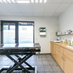 Clinique Vétérinaire Argos Domène