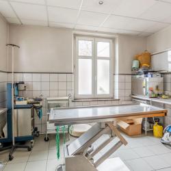 Clinique Vétérinaire Argos