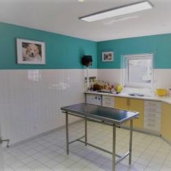 Clinique Vétérinaire Argos La Rochelle La Genette