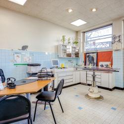 Clinique Vétérinaire Argos Lyon Monplaisir