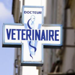 Clinique Vétérinaire
