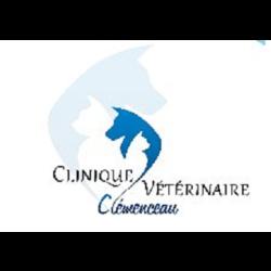 Clinique Vétérinaire Clémenceau