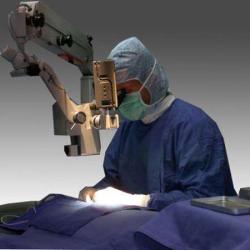 Clinique Vétérinaire Cohen Boulakia