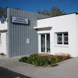 Clinique Vétérinaire D'armor