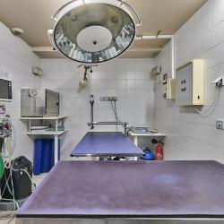 Clinique Vétérinaire Daumesnil
