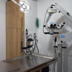 Clinique Vétérinaire De Baleone