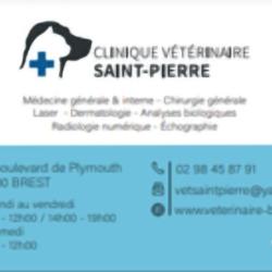 Clinique Vétérinaire De Brest Saint-pierre